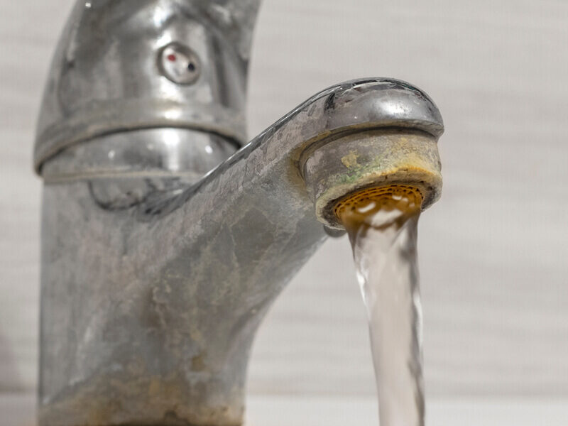 A Guide to Managing Hard Water in Your Home