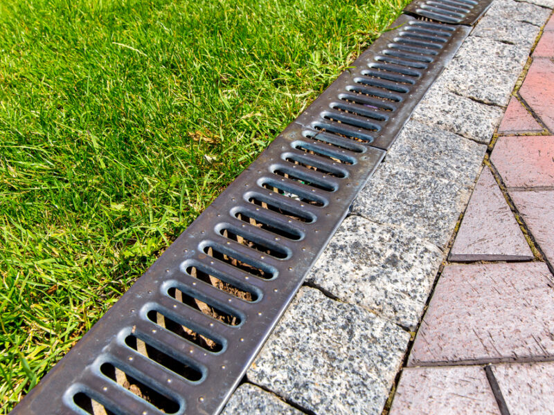 A drainage channel in need of maintenance