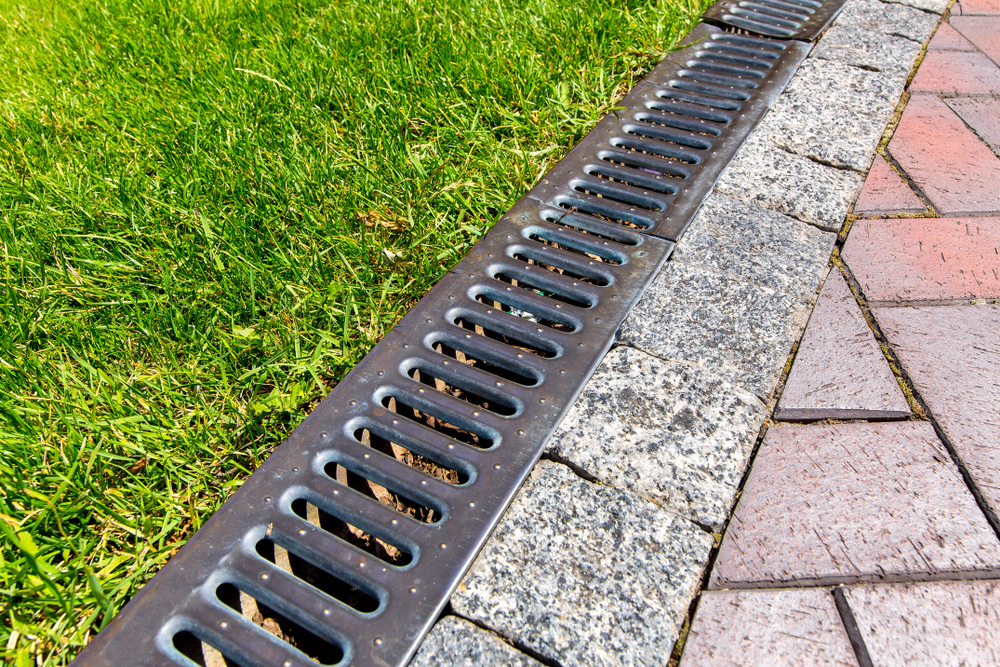 A drainage channel in need of maintenance